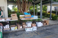 Food Distribution